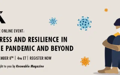 Stress and Resilience in the Pandemic and Beyond