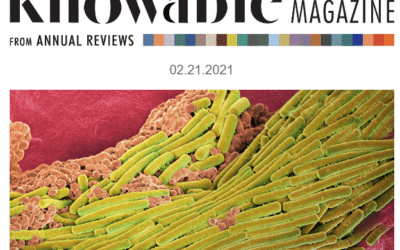 What Darwin got wrong about coral atolls, and antibiotic misuse during Covid
