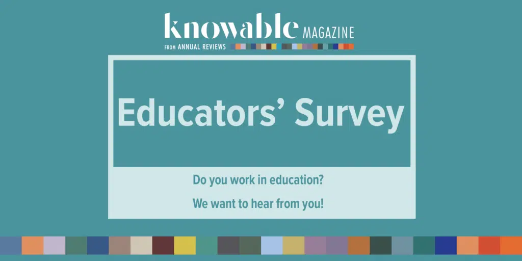 educators survey