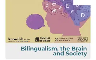 Bilingualism, the Brain and Society