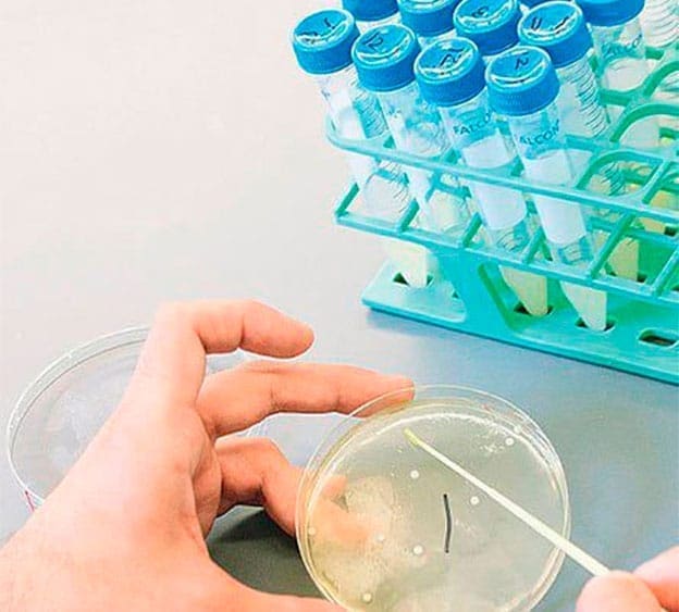 Ciencias de la Salud 13 Ciências da Saúde
